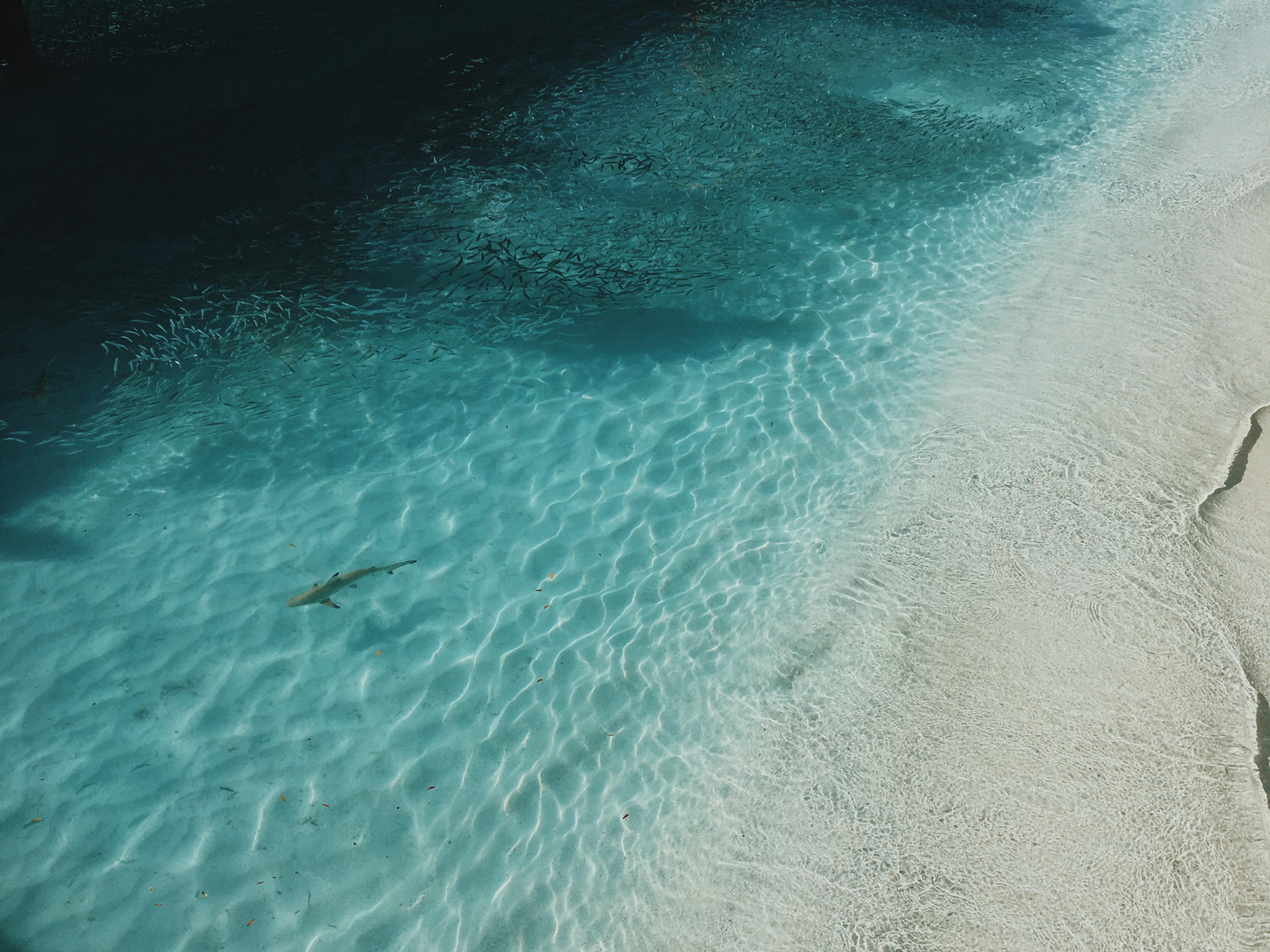 Meeru Island in the Maldives
